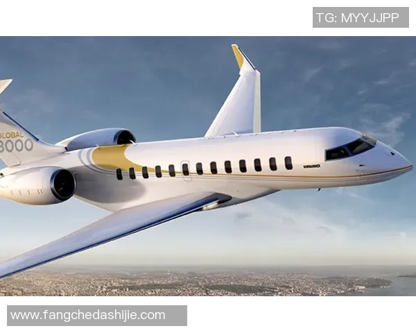 哪些足球球星拥有私人飞机揭秘豪华出行方式与背后财富故事